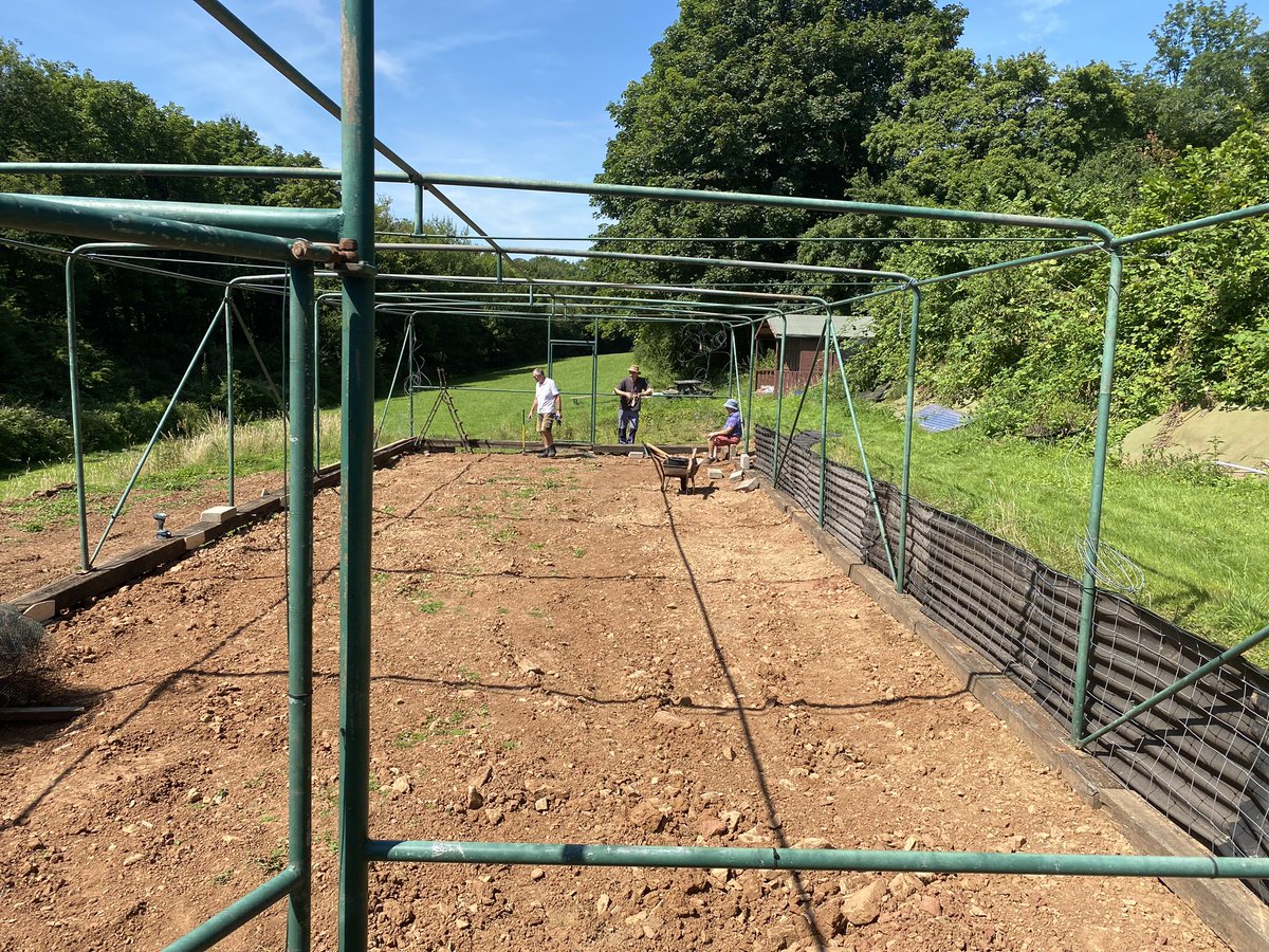 AxeShed's tweet photo. Our Fruit Cage up just needs netting. Growing area coming along well! https://t.co/dhSRY8XeHT