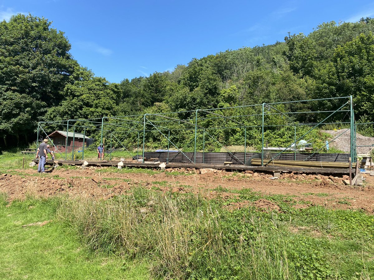 AxeShed's tweet photo. Our Fruit Cage up just needs netting. Growing area coming along well! https://t.co/dhSRY8XeHT