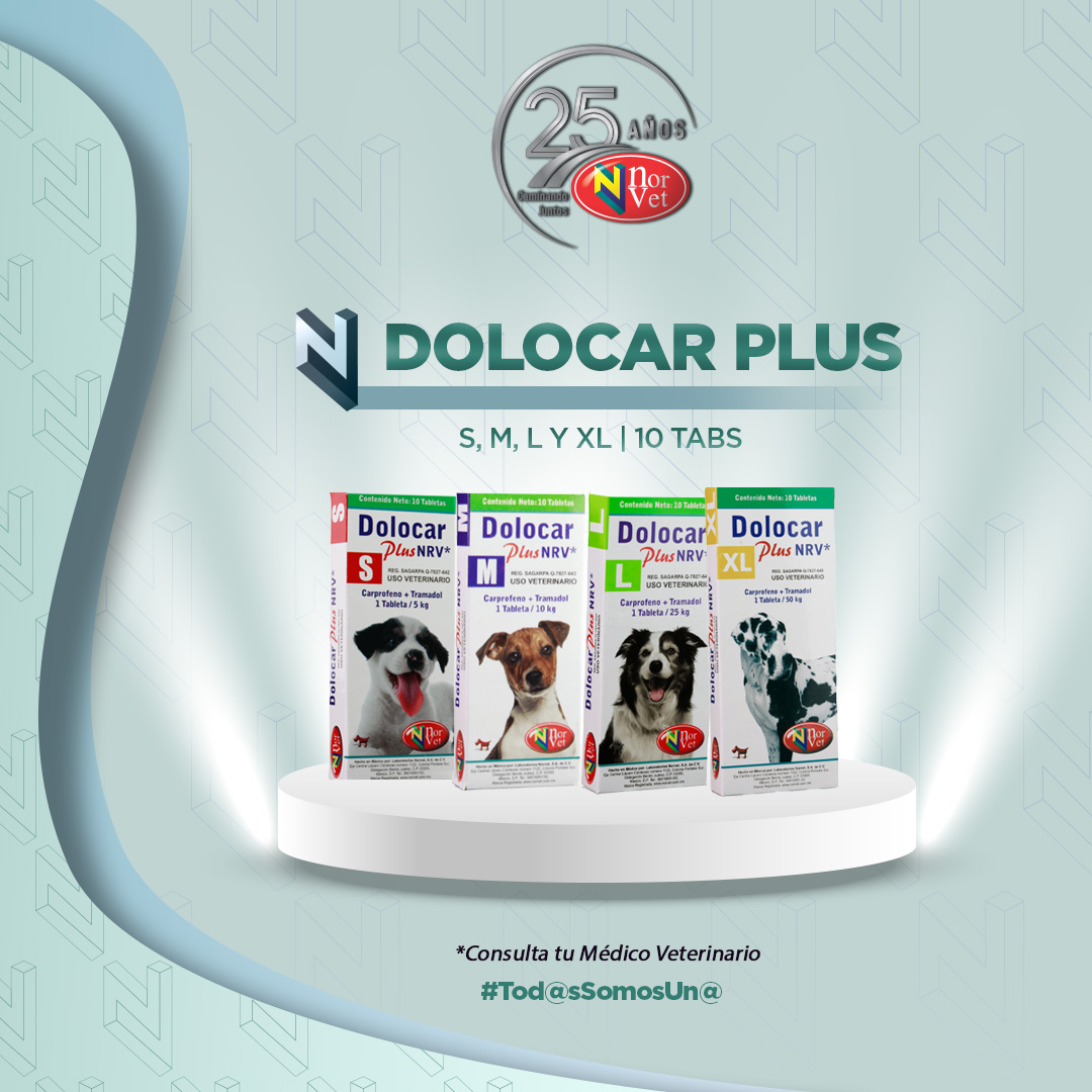 LabNorvetMX's tweet photo. Dolocar plus🐶
 Al servicio de la salud animal.🐾
▪️Consulta a tu Médico Veterinario
▪️️Compra productos con tu distribuidor autorizado

 Visita nuestras tiendas en línea:
https://t.co/uATKXzOK2c | https://t.co/ypKvVUemGw 
#YoSoyNorvet #Tod@sSomosUno@ #25AniversarioNorvet https://t.co/YJQ5QMFK8C