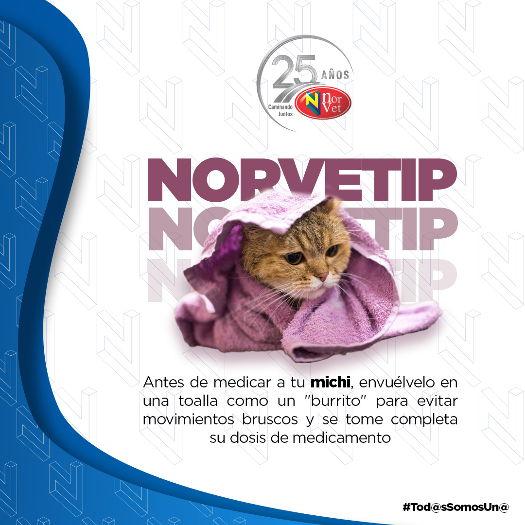 LabNorvetMX's tweet photo. Atiende a tu gatito con amor cuando está enfermo y asegúrate de que tome su medicación adecuadamente. 🐱💊
Al servicio de la salud animal.🐾
https://t.co/yiBJQ1pXxJ | https://t.co/V2Q51UEdK8
#YoSoyNorvet #Tod@sSomosUn@ #25AniversarioNorvet https://t.co/hduInt1WXE