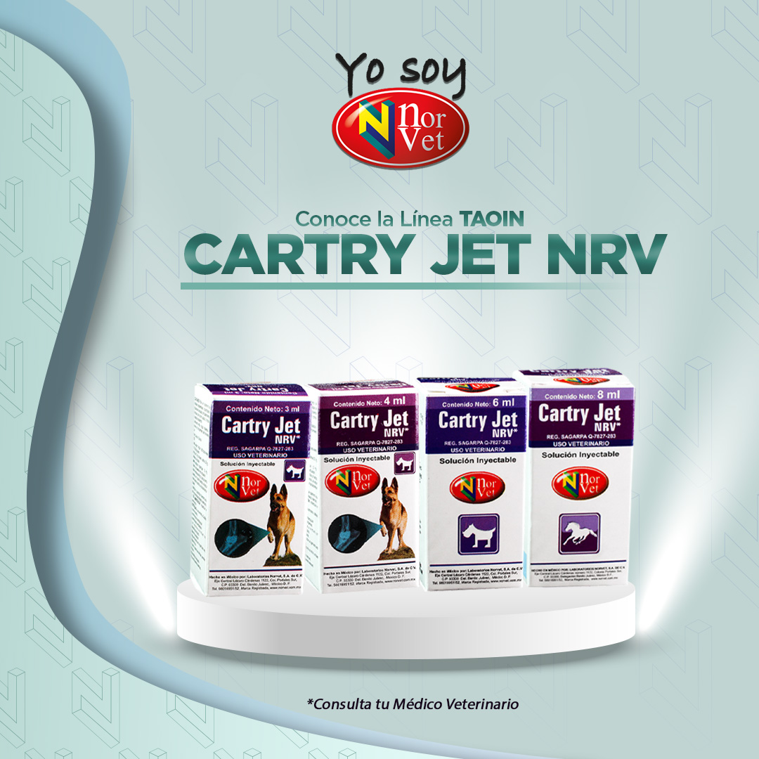 LabNorvetMX's tweet photo. 🐎 Descubre la innovadora línea Taoin de Norvet. Y explorar nuestro catálogo y consultar la lista de distribuidores para adquirirla.

Al servicio de la salud animal.🐾
https://t.co/uATKXzOK2c | https://t.co/ypKvVUemGw  
#YoSoyNorvet #Tod@sSomosUno@ #25AniversarioNorvet https://t.co/zofp8zCdw9