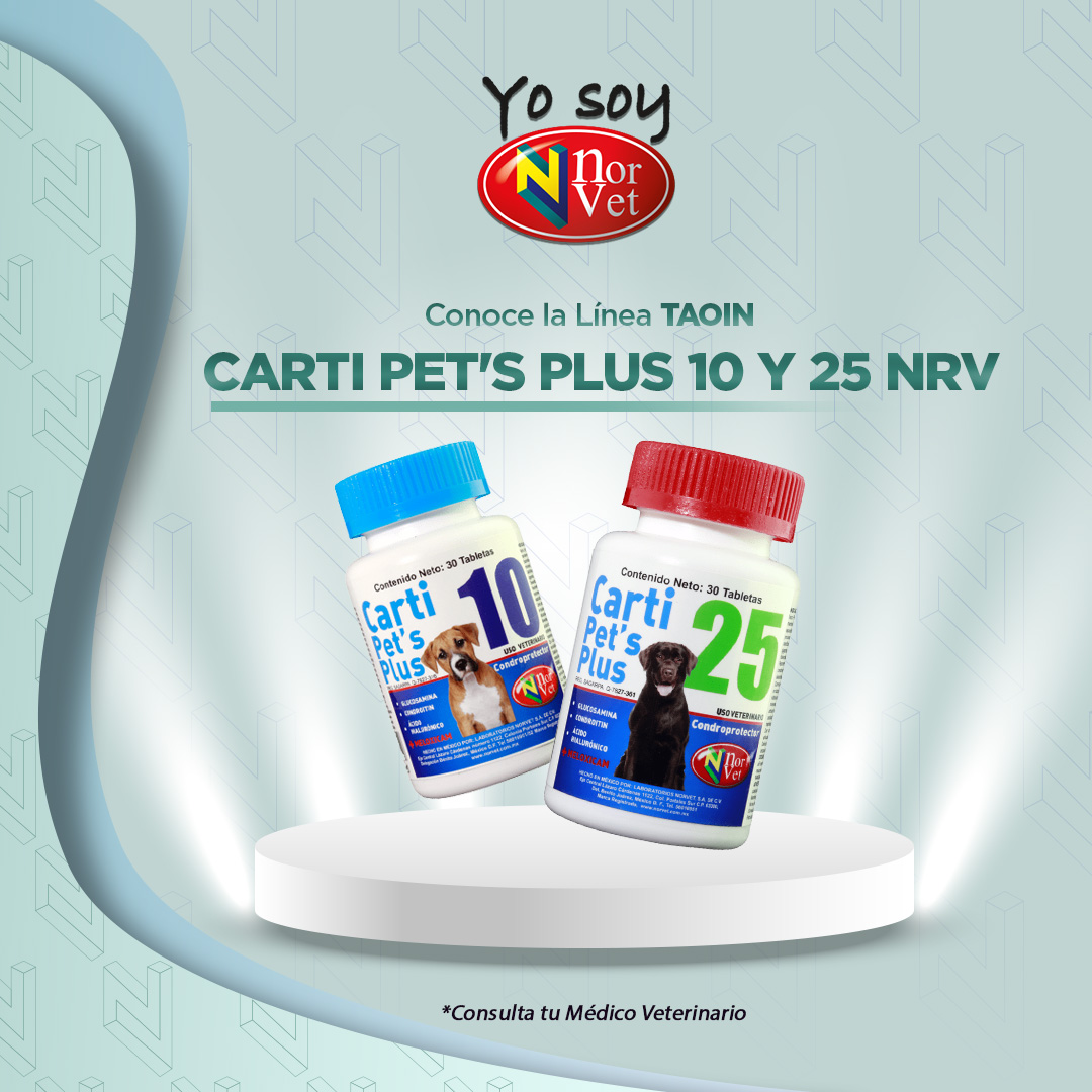 LabNorvetMX's tweet photo. 🐎 Descubre la innovadora línea Taoin de Norvet. Y explorar nuestro catálogo y consultar la lista de distribuidores para adquirirla.

Al servicio de la salud animal.🐾
https://t.co/uATKXzOK2c | https://t.co/ypKvVUemGw  
#YoSoyNorvet #Tod@sSomosUno@ #25AniversarioNorvet https://t.co/zofp8zCdw9