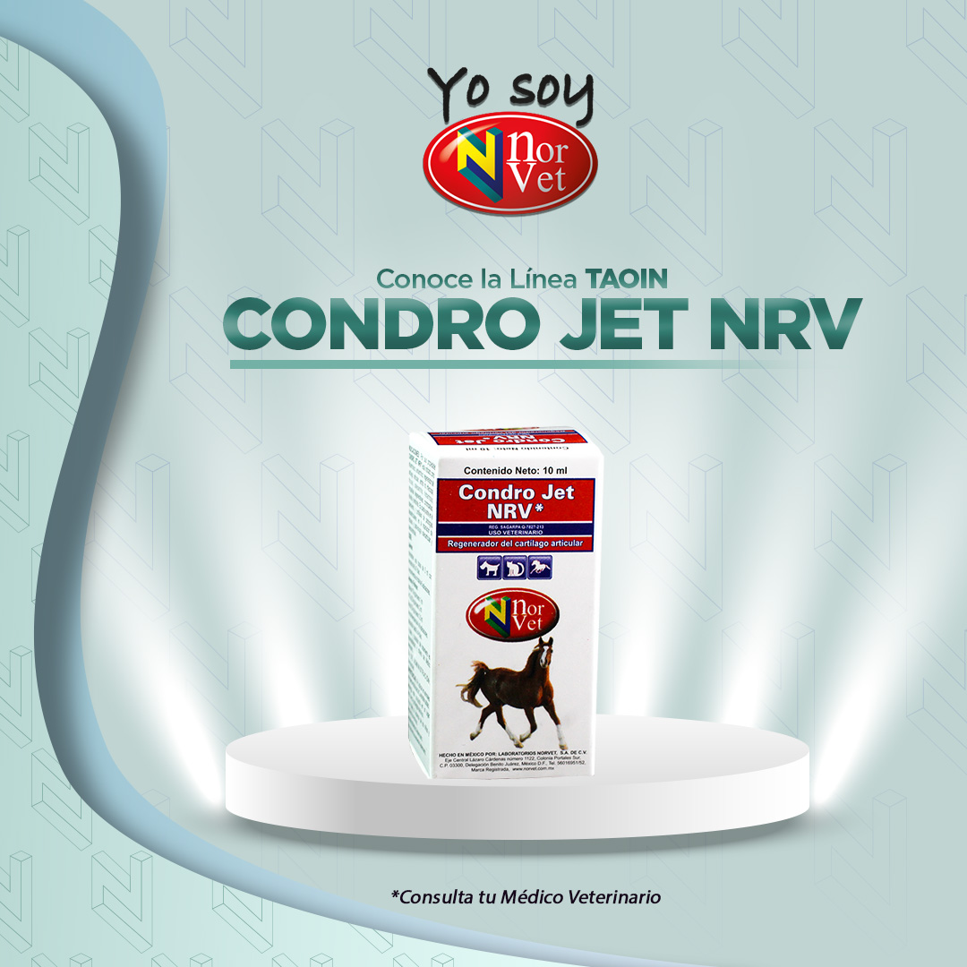 LabNorvetMX's tweet photo. 🐎 Descubre la innovadora línea Taoin de Norvet. Y explorar nuestro catálogo y consultar la lista de distribuidores para adquirirla.

Al servicio de la salud animal.🐾
https://t.co/uATKXzOK2c | https://t.co/ypKvVUemGw  
#YoSoyNorvet #Tod@sSomosUno@ #25AniversarioNorvet https://t.co/zofp8zCdw9