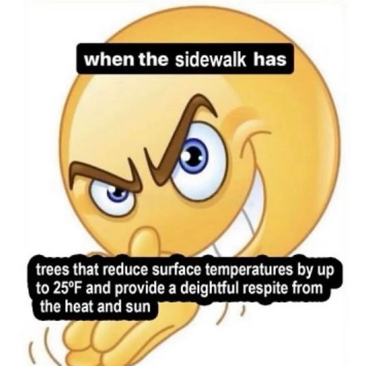 RespectfulMemes's tweet photo. https://t.co/ZkS8sd1Kuo