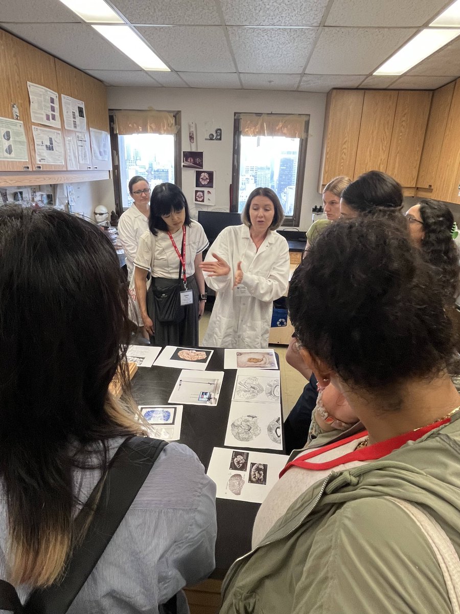 theCRBLM's tweet photo. Thank you to everyone who contributed to the CRBLM Showcase this week - including our fantastic tour guides and lab hosts from @zatorrelab @NeuroACAR  @TheNeuro_MNI and Dr. Michael Petrides lab. https://t.co/Uc5TO2KsEX