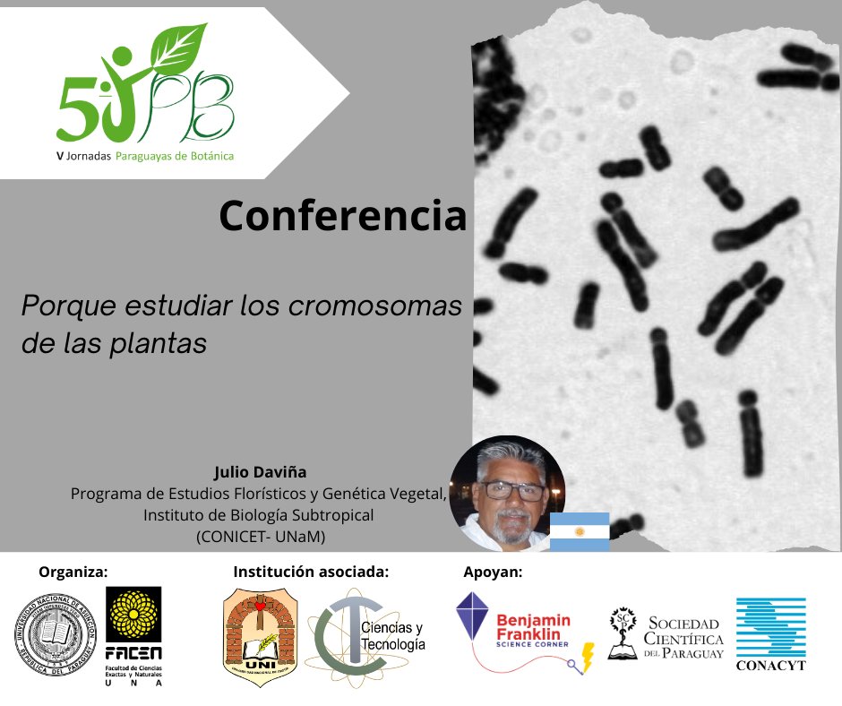 jornadasbotpy's tweet photo. El Dr. Julio Daviña, trabaja en el área de citogenética vegetal, desarrolla investigaciones principalmente en la familia Amaryllidaceae.

📆Día 2 (jueves 8/08/2024)
🕐 14:15 a.m
(Salón Judith Dos Santos, tercer piso, bloque A)
#vjpb #botanicapy #paraguay #facen #una #LAREV https://t.co/avuI64Ak0d