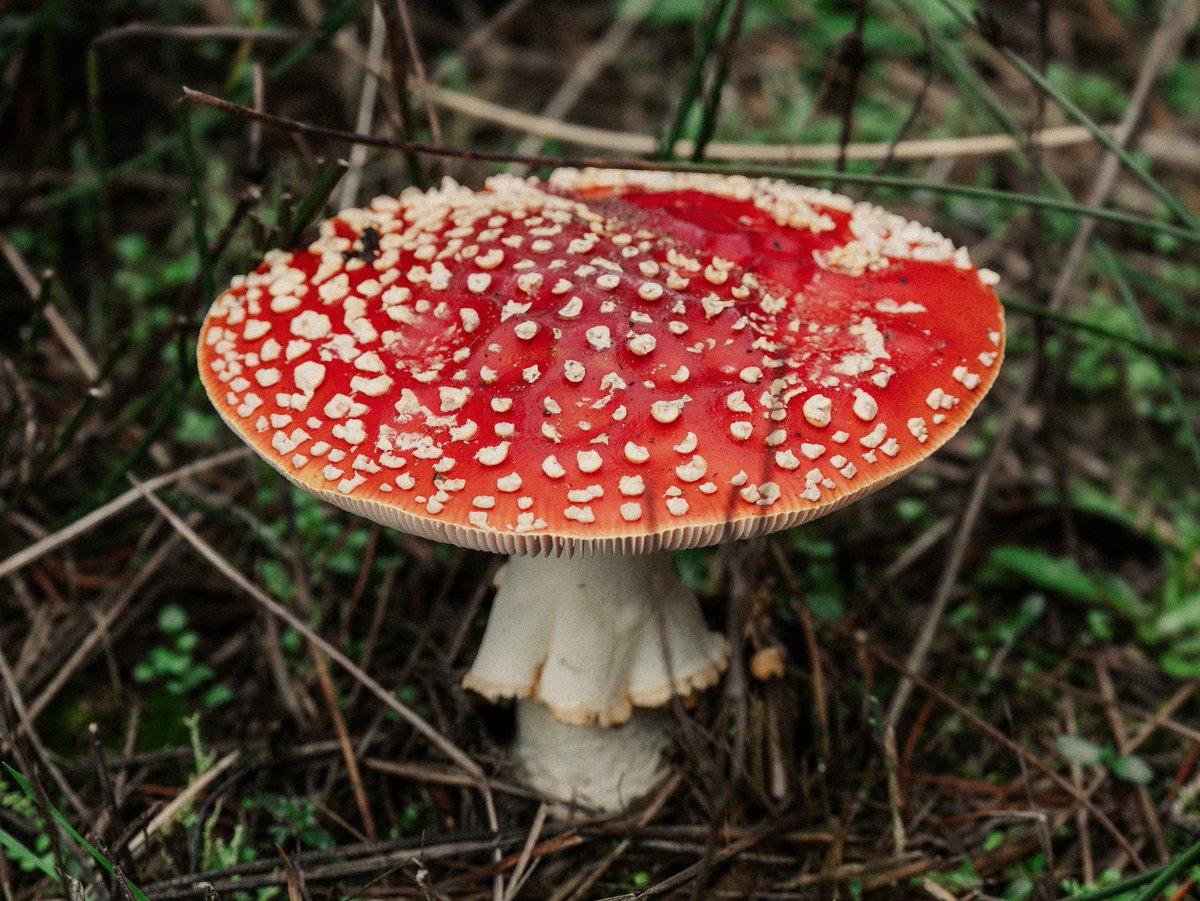 Gm ✽

Back in November in Dunes City, Oregon