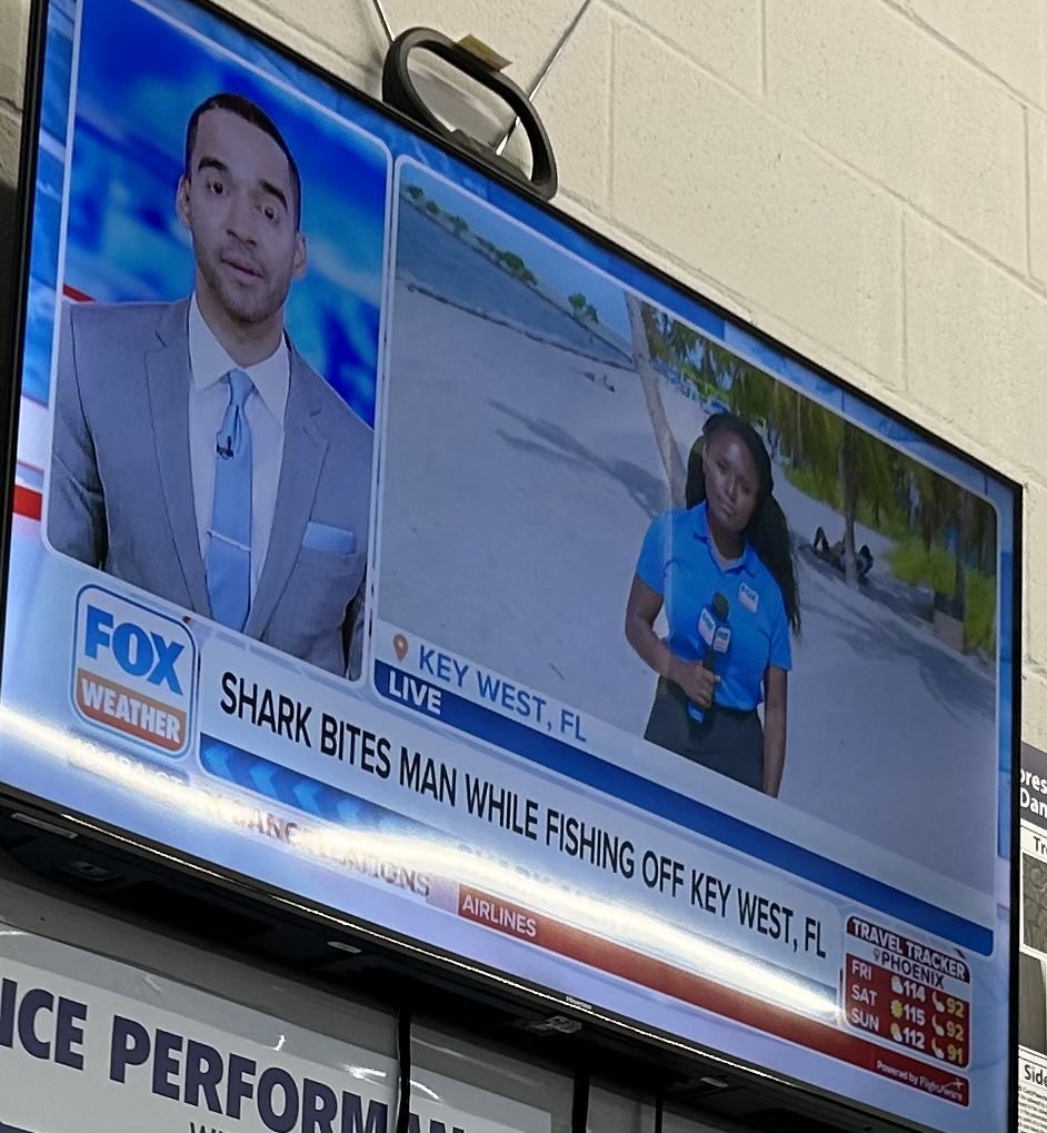 Shark is an excellent multitasker