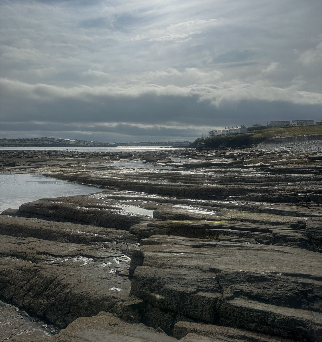 Mairéad Carroll tweet media