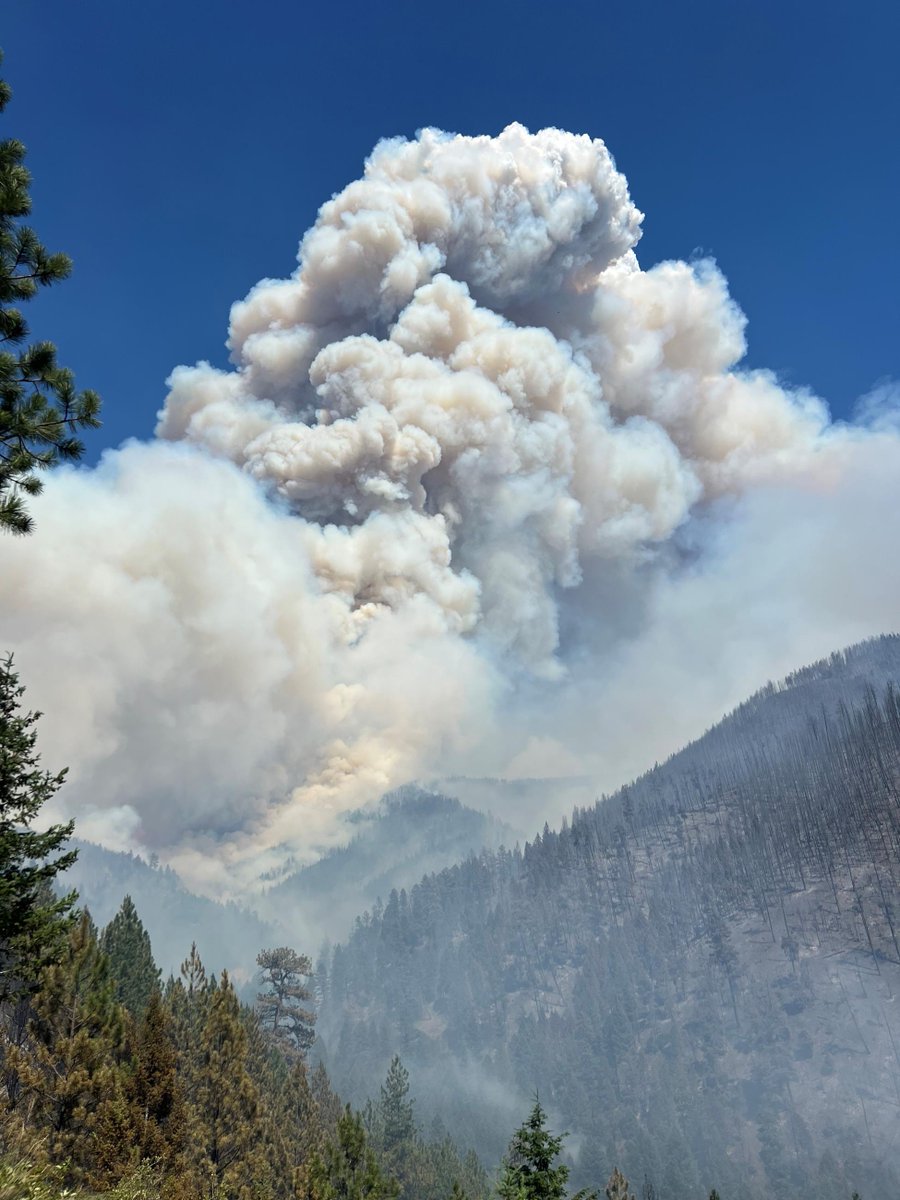 NIFC_Fire's tweet photo. #NationalFireNews: July 19, 2024. Currently, 61 large active wildfires are currently being managed nationwide, and have burned 1,047,674 acres. Fire managers are using full suppression strategies on 54 of these wildfires. #FireYear2024 https://t.co/qzi3Wlubhm