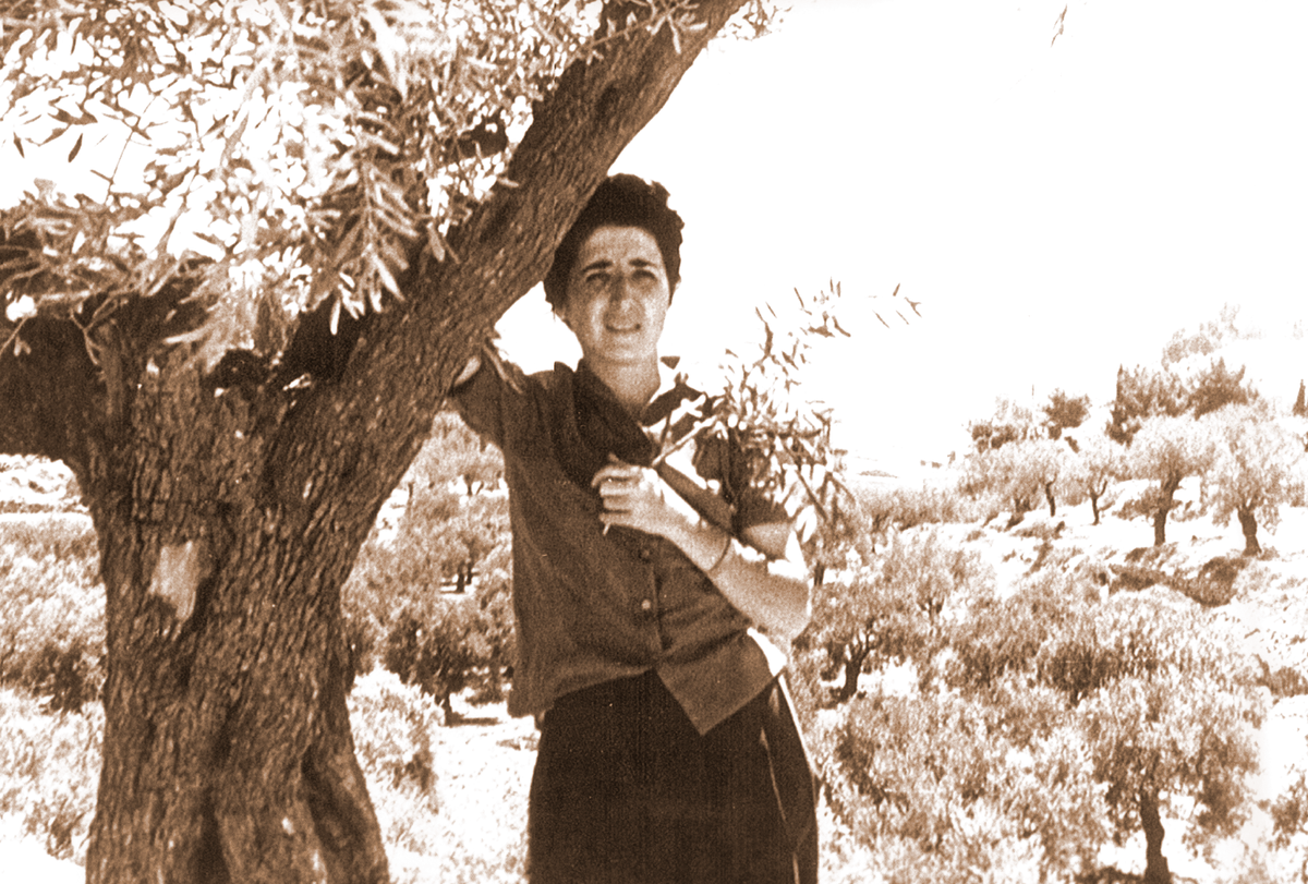 neocatiter's tweet photo. Octavo aniversario del «DIES NATALIS» de Carmen Hernández – Carmen Hernández Barrera https://t.co/mGXDzQqevF https://t.co/IByhGFupCH