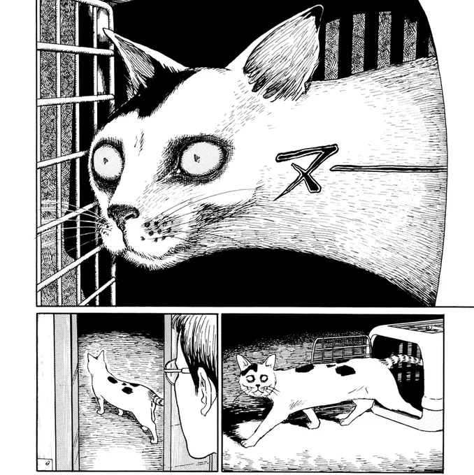 Vibe's not the same at all I still think about this Junji Ito's Cat Diary panel whenever I watch the cutscene of Geppetto getting out of the carriage, that initial hand framing is simply too Menacing 