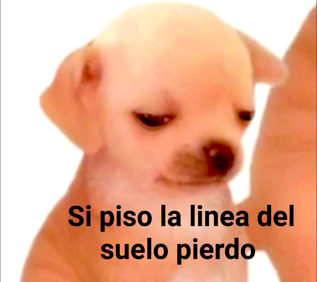 Mira a la doctora caminando, mirando al suelo, seguro está cansado y triste…
YO: