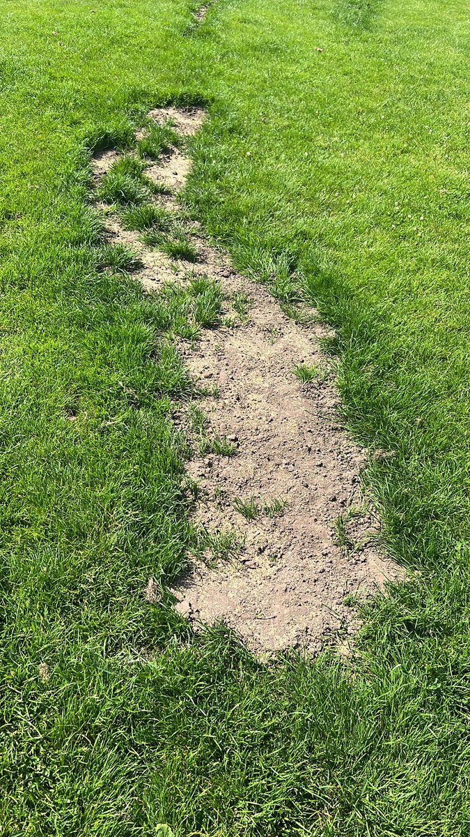 Pitch in top notch condition for this season. And the guy who’s supposed to be helping us from the council is being laid off and not replaced. Local council wanting FA to help clubs now, giving them a grant to start up and maintain your own pitch.