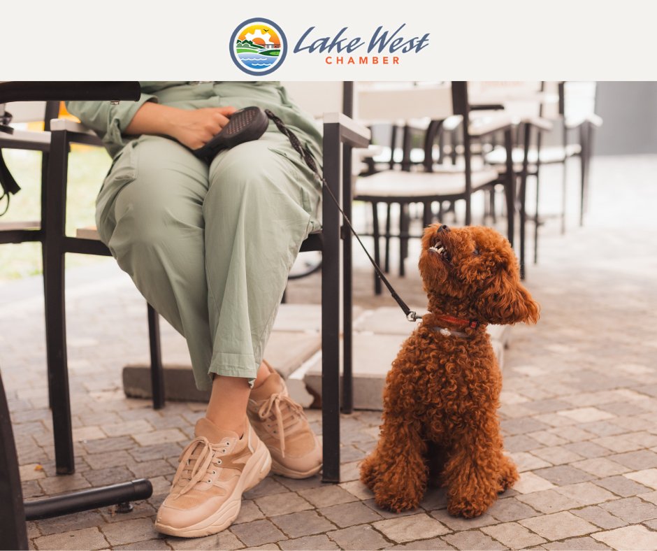 𝗣𝗲𝘁-𝗙𝗿𝗶𝗲𝗻𝗱𝗹𝘆 𝗦𝗲𝗿𝘃𝗶𝗰𝗲𝘀
 Looking after your furry friends? Our member directory lists local pet care services. #PetCare #LocalLove 🐾🏠 lakewestchamber.com