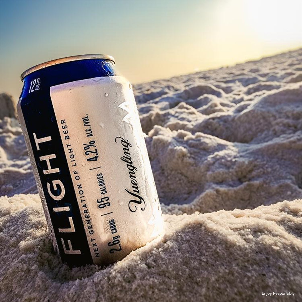 yuenglingbeer's tweet image. Basking and brewing. 🍺🏖️
📸: So Average Dad