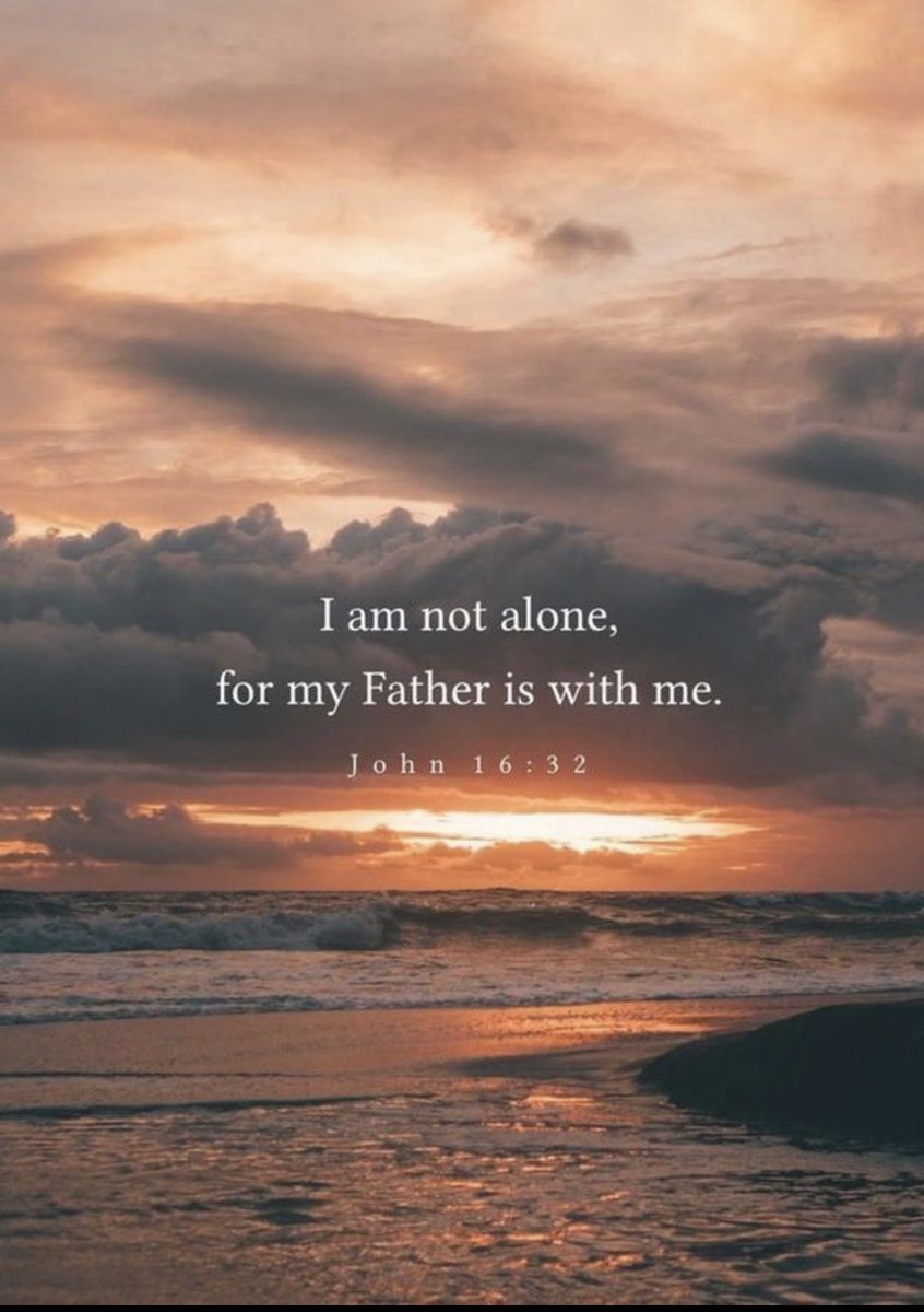 For He has said, “I will never leave you nor forsake you.”
~Hebrews 13:5🕊