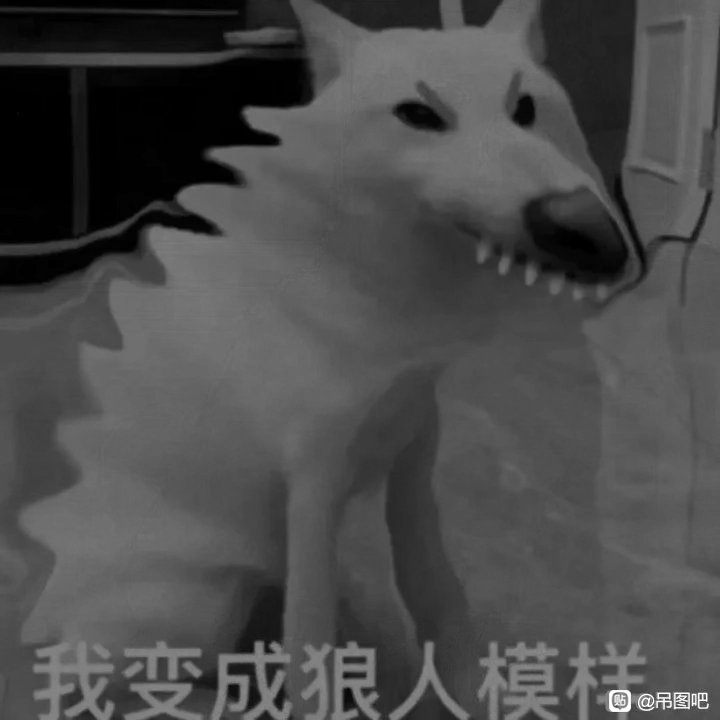 PYangda85225's tweet photo. https://t.co/qzgmA8qNu6