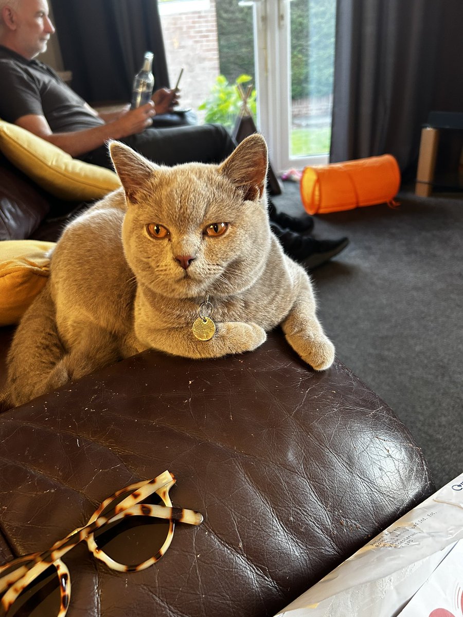 katiessull's tweet photo. is he not the most beautiful boy https://t.co/6b8m98ETGK