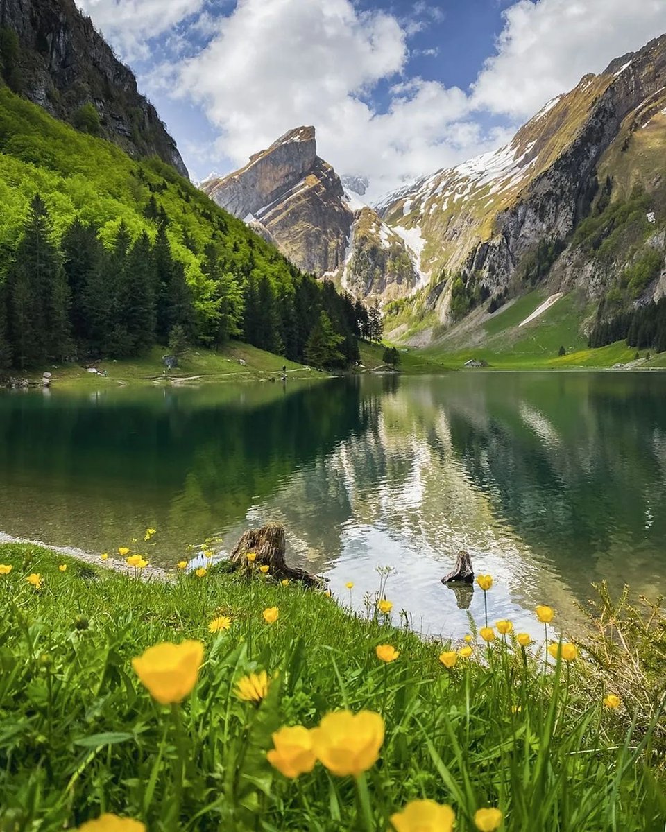 Seascape Nature tweet media