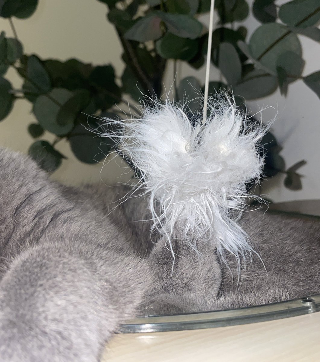 Tak tahu la berapa lama dia tersangkut sebab i tengah tengok tv tepi dia dari tadi. Dia sanggup tidur ye daripada meng-meow mintak tolong.