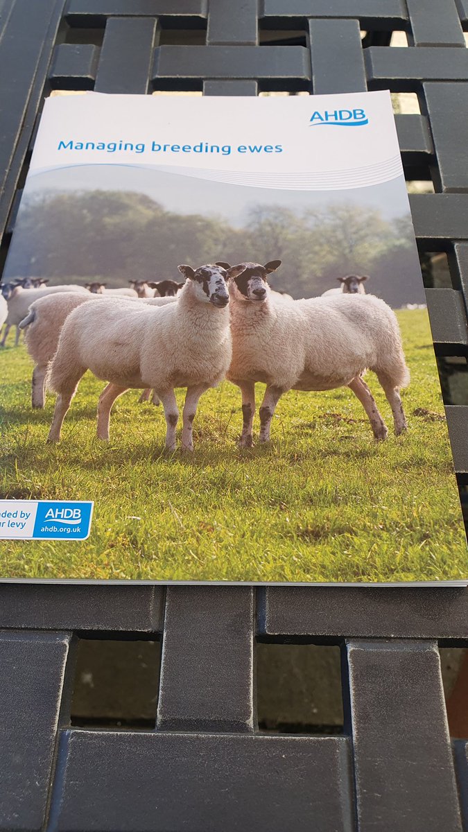 The current Mrs Willoughby goes to <a href="/Groundswellaguk/">Groundswell</a> and now weird things are arriving in the post. Strange times ahead.