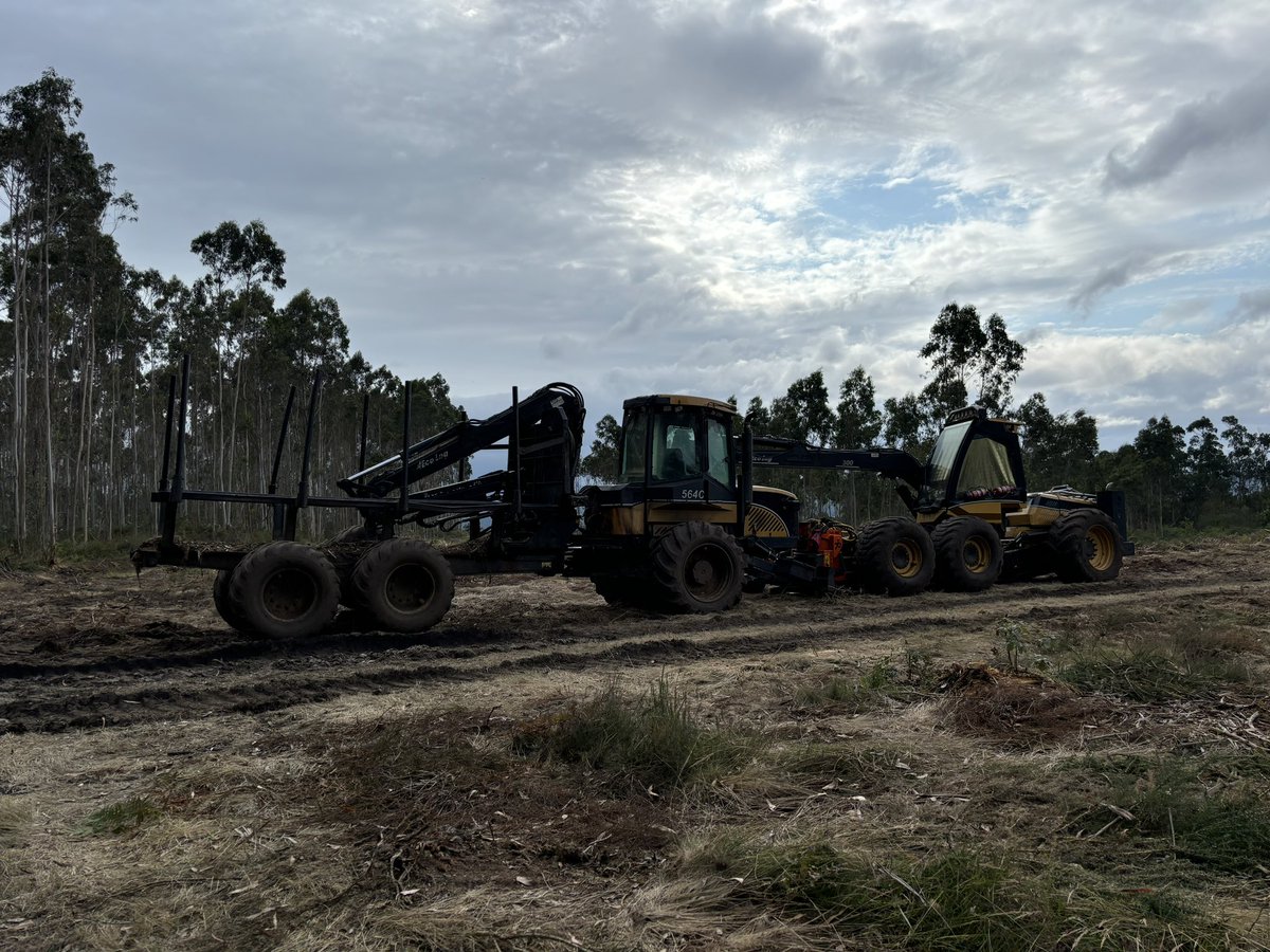 ManuelDeRoque's tweet photo. 🚜 Mad Max: Fury Forest
.
.
.
.
.
.
.
#alcolitros #deforestation #Monte #desértico #forest #MadMax https://t.co/XcStZmHJdi