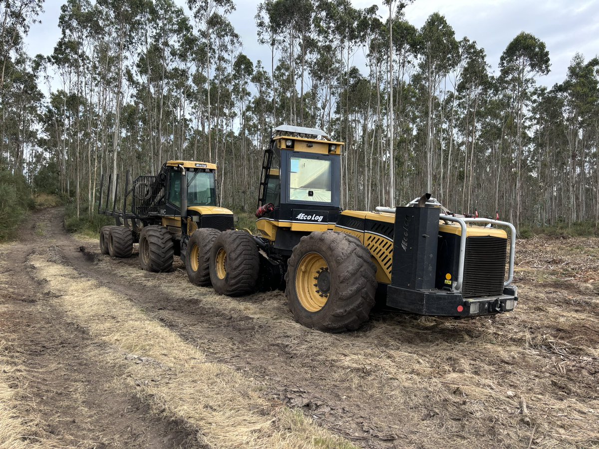 ManuelDeRoque's tweet photo. 🚜 Mad Max: Fury Forest
.
.
.
.
.
.
.
#alcolitros #deforestation #Monte #desértico #forest #MadMax https://t.co/XcStZmHJdi