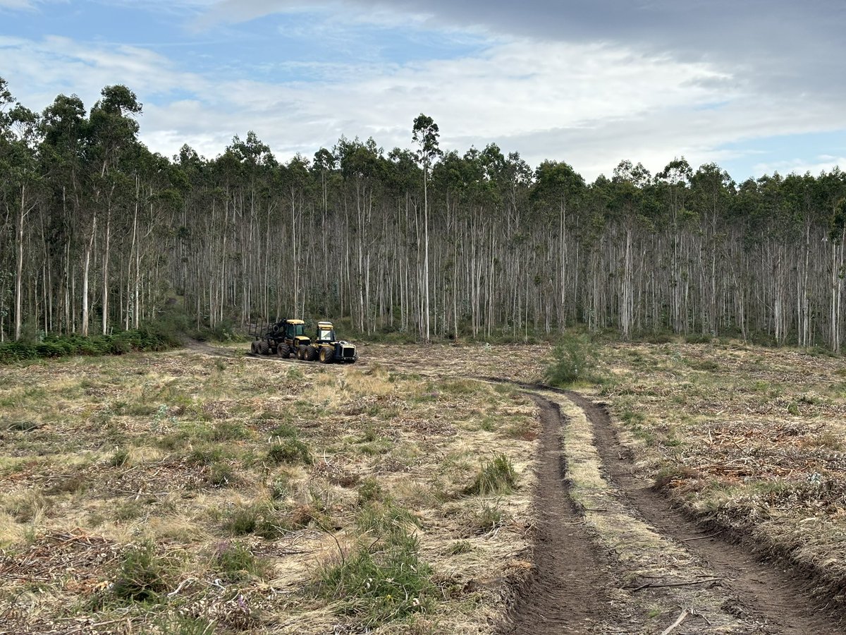 ManuelDeRoque's tweet photo. 🚜 Mad Max: Fury Forest
.
.
.
.
.
.
.
#alcolitros #deforestation #Monte #desértico #forest #MadMax https://t.co/XcStZmHJdi