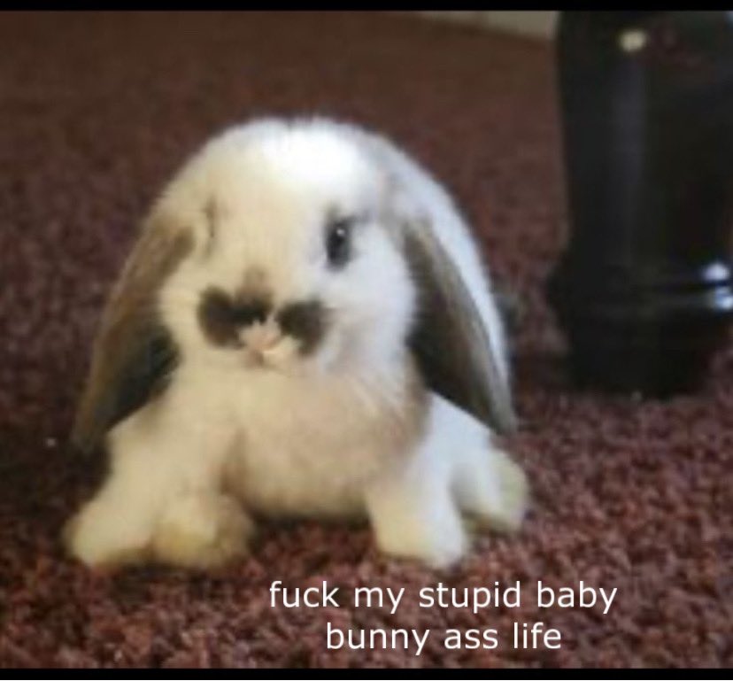 interntsprite's tweet image. 