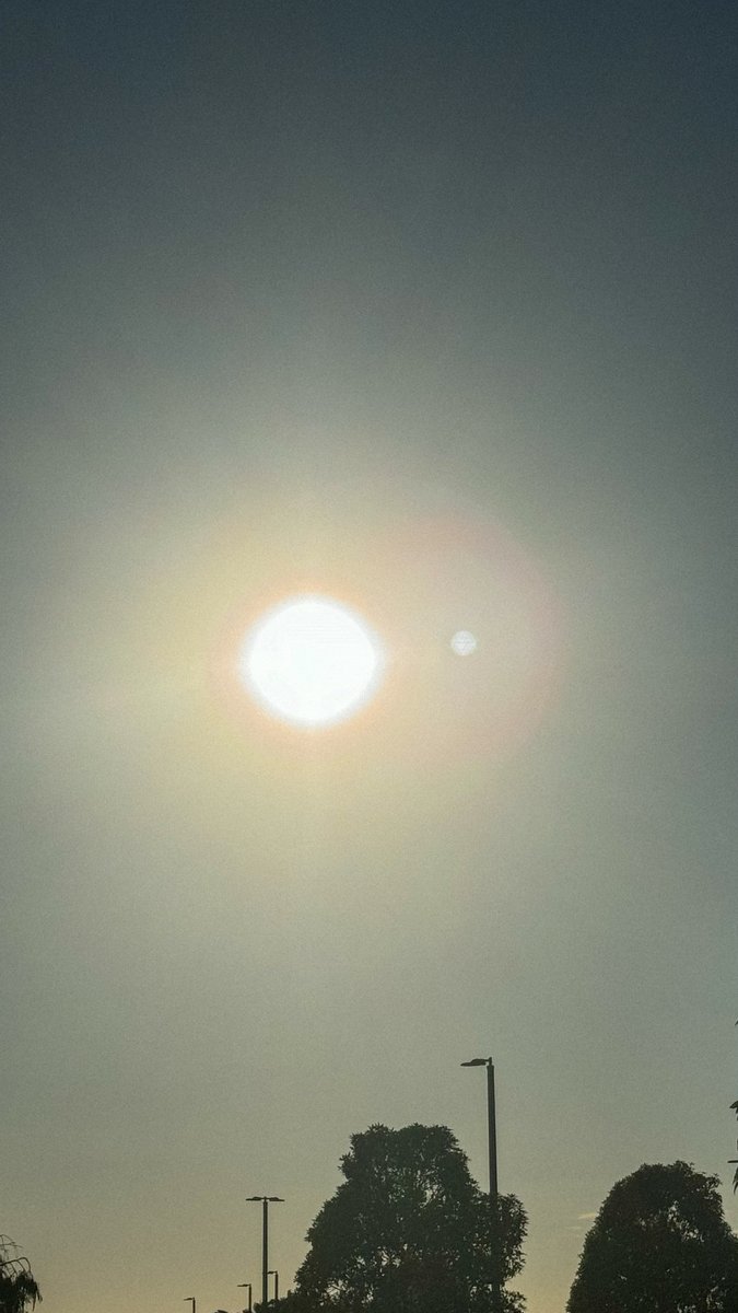 zaidkdahhaj's tweet photo. If you’re PALE, it’s in your best interest to: 

A) Sunbathe in the AM first between sunrise and ~ 9/10 AM for at least 30 minutes

The longer, the better

Most of your bare skin exposed

No sunglasses, contact lenses, sunscreen, makeup, being behind closed windows

This serves to prime your skin for midday UV light via red and infrared light wavelengths which produces: 

• Collagen
• Elastin
• Hyaluronic acid
• Filaggrin
• Urocanic acid

All five of which have protective effects on the skin barrier, some or all of them also serving to moisturize the skin

It is preparation for your skin to give you an opportunity to build melanin during midday, which is Mother Nature’s most effective sunscreen

B) Microdose midday sunlight between 11 AM - 3 PM and gradually build your melanin

The goal here is to avoid burns while getting your skin in the game since you’re pale

For this demographic, 5-10 minutes is enough at first, but the amount of time will vary depending on you 

Know thyself here

If you burn after 10 minutes of midday bare skin exposure, dial it back to 5-7 minutes or until you find an amount of time where you don’t burn

Rest assured that the morning sunbathing will give you more leverage to spend more time sunbathing

The keystone pillar here is CONSISTENCY 

You show up daily and repeat the same process, while gradually increasing the amount of midday sunbathing because you’ve gradually built more melanin on your interior and exterior

That’s how you build a tan, in much the same way you gain strength through resistance training by warming up, lifting appropriately, recovering, and doing the same thing day in and day out using the principle of progressive overload 

There’s no fucking magic trick here

It’s about understanding the basics of circadian biology, the solar cycle, the UV index, and progressive overload

There are four important caveats:

These are mandatory to follow if you’re to get the most out of this work and your potential to tan

1) Strictly food after sunset which disrupts the circadian clocks of the skin, which can make you more susceptible to burns during the day

2) Block toxic artificial light strictly after sunset through circadian friendly lighting, dark lensed blue blockers, basic layer of clothing to cover the skin. Make it as dark as possible 

3) Be asleep before 10 PM in a dark and cool room environment to get the most of your sleep cycles and REM/deep sleep which is where the skin regenerates itself

4) Strict avoidance of anything that artificially manipulates the full light spectrum from the sun (sunscreen, sunglasses, makeup, contact lenses, sunlight through glass windows) 

And for all of you who point to the subject of vegetable oils, my stance is the following: 

Limit them, but don’t believe that you have to eliminate them strictly to see tanning benefits without burning 

Light trumps nutrition in this discussion because it is a more fundamental biological input 

I have verified this with MANY people, both on and off this platform. The results speak for themselves