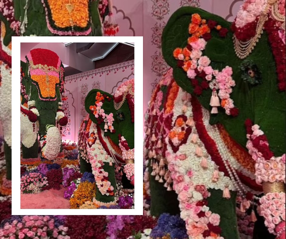Hollywood_Pop's tweet image. When you let a creative do their thing, the results are beyond your wildest dreams.
✨
These epic florals aren’t arrangements, they are ART installations ✨🙌✨
Congratulations #PrestonBailey for creating a magically immersive experience for the #ambaniwedding 🐅

@hollywood_pop