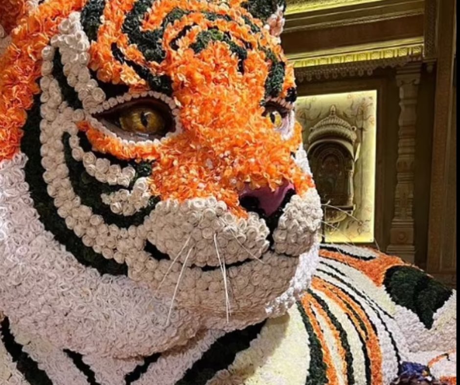 Hollywood_Pop's tweet image. When you let a creative do their thing, the results are beyond your wildest dreams.
✨
These epic florals aren’t arrangements, they are ART installations ✨🙌✨
Congratulations #PrestonBailey for creating a magically immersive experience for the #ambaniwedding 🐅

@hollywood_pop