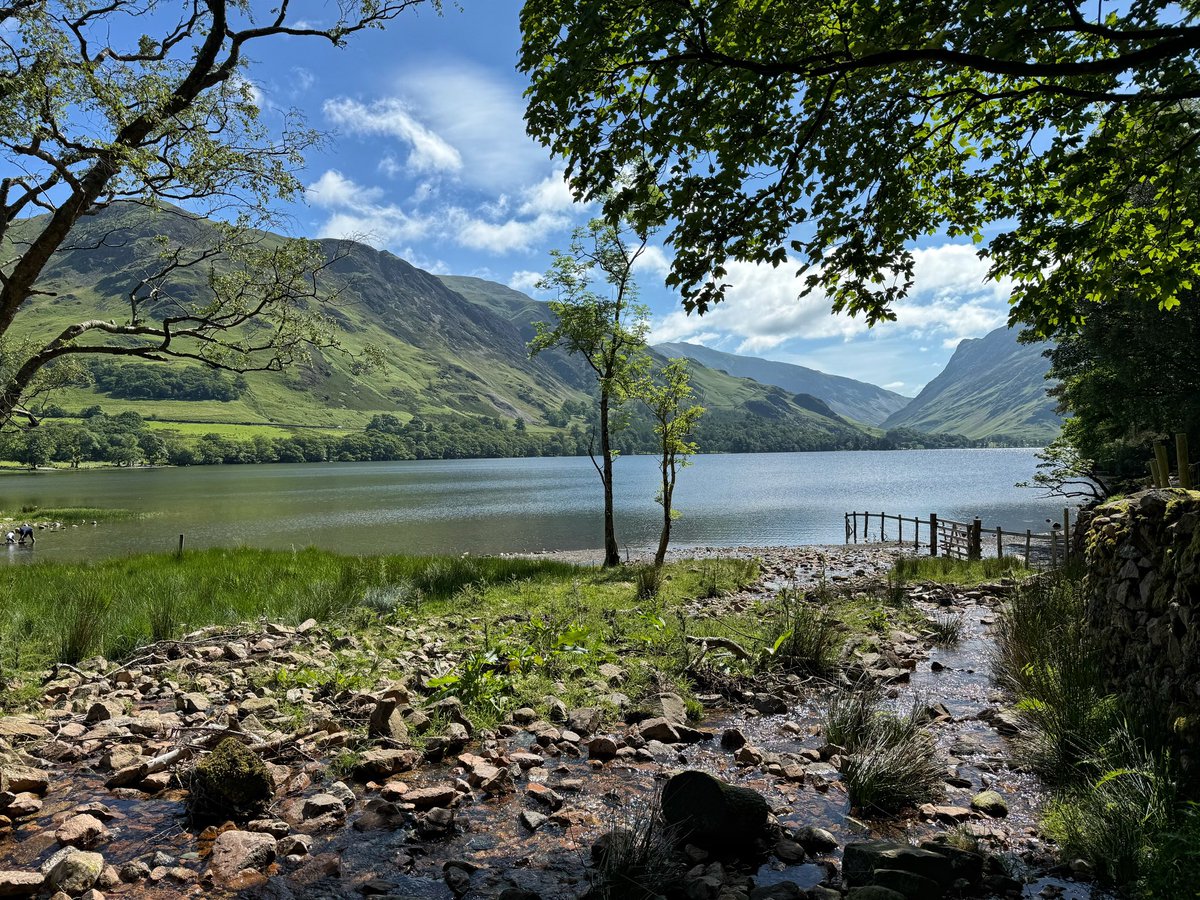 Mel Sykes tweet media