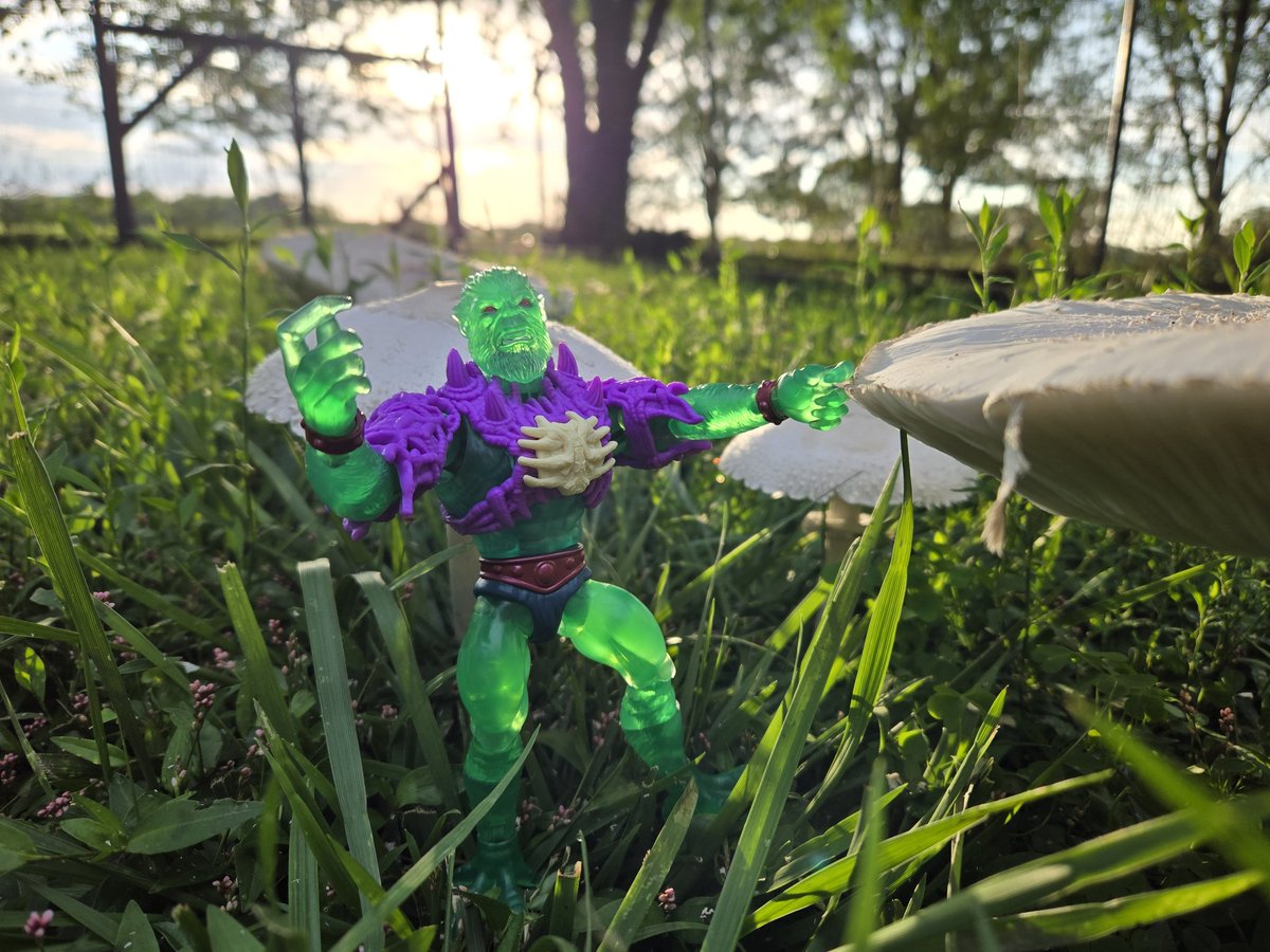 cracktasticpod's tweet photo. Happy #fungusfriday @Mattel @MastersOfficial #thepfpn #cracktasticplastic #motu #mastersoftheuniverse #turtlesofgrayskull #mossman #crossover #mushroom #mycology #mycelium #fungusamongus #funpostfriday #naturephotography #toyphotography https://t.co/K6bfb6b0EQ