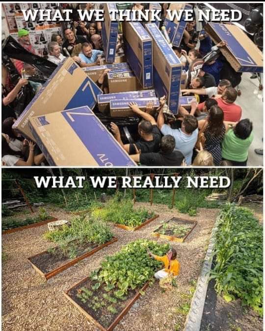 James Melville 🚜 (@jamesmelville) on Twitter photo 