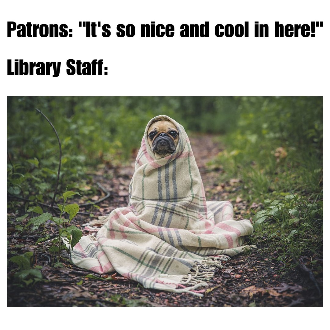 merrimacklibnh's tweet photo. 😹😹😹 https://t.co/Bz5rd0mboC