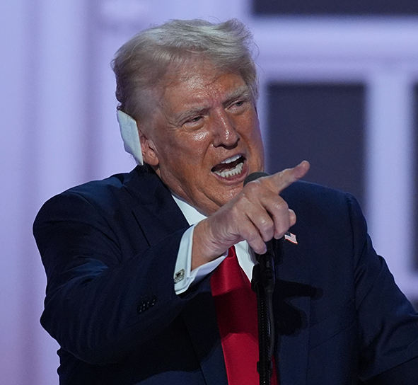 Occupy Democrats tweet media