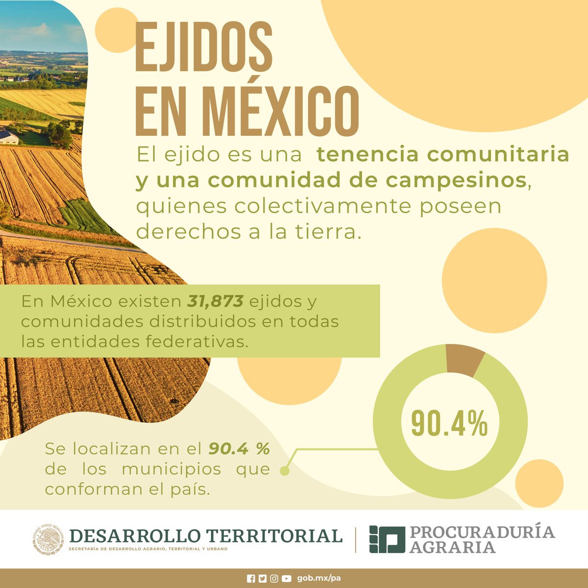 PAgraria's tweet photo. ✅Conoce más datos sobre la Procuraduría Agraria y el campo mexicano.
#DatosRelevantes
#JusticiaAgraria ⚖️🧾 https://t.co/EUj7u7nEPE