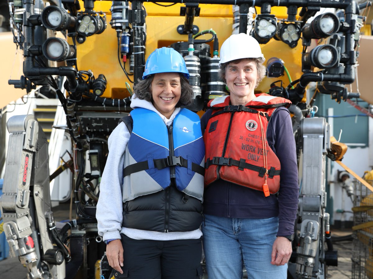 NOAAFisheries's tweet photo. Get ready to dive in!

Dr. Martha Nizinski and her team are live right now as they explore the first and only marine national monument in the Atlantic Ocean! 

Tune in as they explore Oceanographer Canyon to study the deep-sea organisms that live there: https://t.co/cnOQBwQIE5 https://t.co/VR6esXVWLT