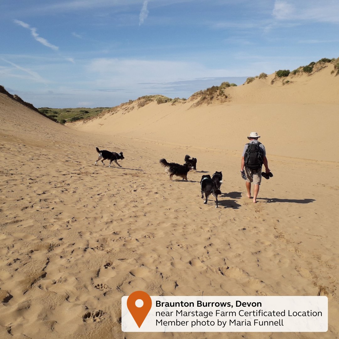 candmclub's tweet photo. The sun is shining, and the weekend is here! 🌞 What are your plans to make the most of this beautiful weather? Whether it’s a BBQ, a hike, or just relaxing in the park, we’d love to hear! Share your plans with us! 🏖️🚴‍♂️🍔 We are back Monday at 9 ~Dan #WeekendVibes #SunnyDays https://t.co/UbKK7rnWlK