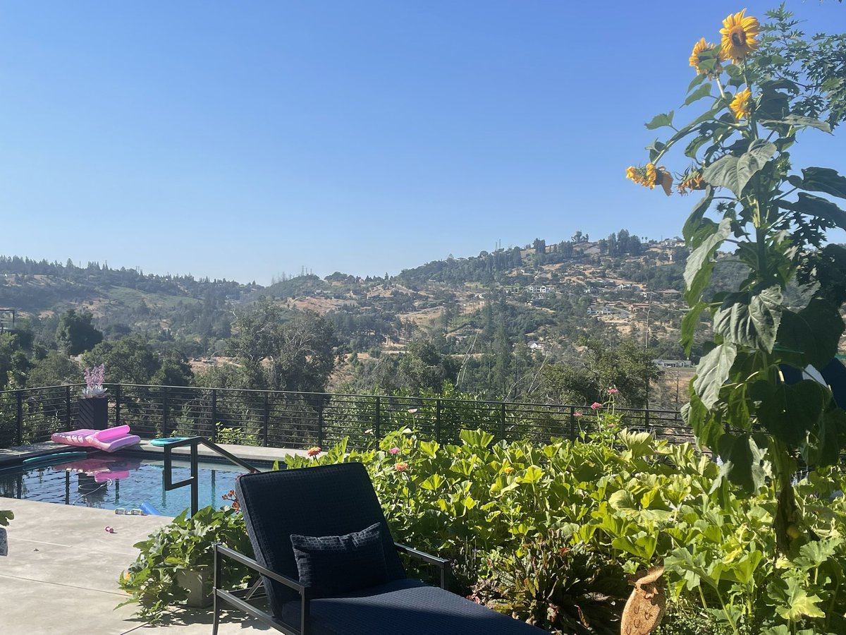 Colin James Bettles tweet media