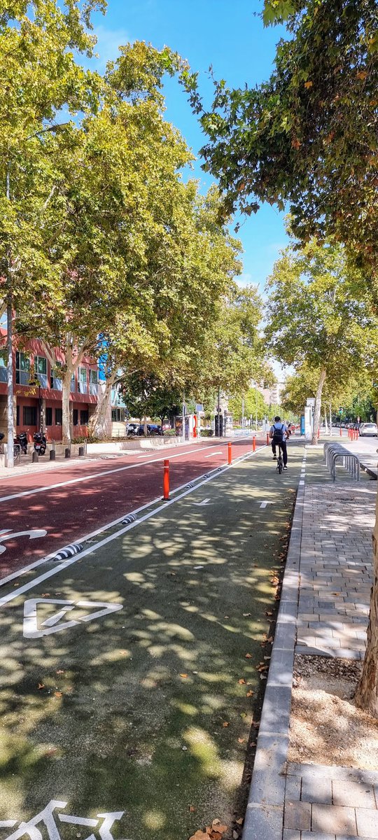jjizquierdo2012's tweet photo. ¿Es fácil conectar #LaFica y #SantaEulalia de forma directa mediante carril bici e #ItinerarioPeatonalAmable a través de la #CalleLuisFontesPagan?

Sí, porque ya es peatonal en una parte, con aceras amplias arboladas en la otra, sin perjuicio al tráfico si se limita a tráfico residente y termina junto al #AuditorioRegional 🎭🎻🎶
Encima, hasta la #PlazaDeLosPatos tiene la pinada más bonita de la ciudad. 🌳🚲🚶‍♂️

Incomprensiblemente, el concejal de Movilidad del @AytoMurcia va a reabrir al tráfico su parte peatonal. 😡🚫

No es nada bueno para la salud de los trabajadores y pacientes del Hospital Reina Sofía. 
Y un gran error porque no soluciona nada: la parte peatonal desemboca en dos carriles bus y carril bici segregados lo que va a provocar un tapón de tráfico 👉Foto3

#MurciaPaseable 
#MurciaMovilidadSaludable