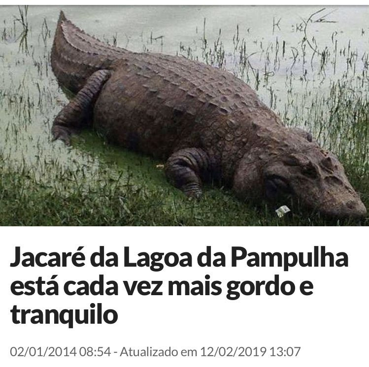 _rap0s0_'s tweet photo. Eu https://t.co/Rrrjlpqjtr