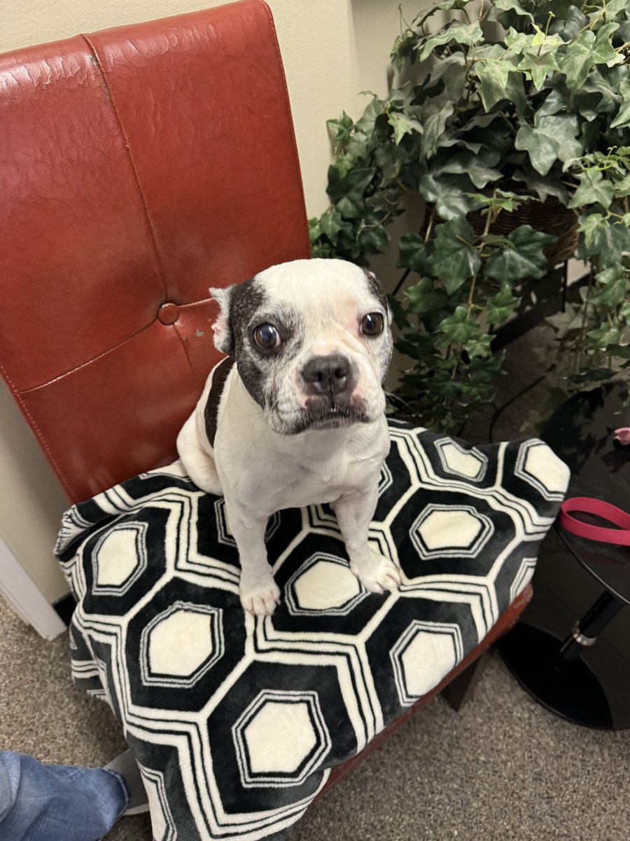 AegisSales's tweet photo. The Aegis mascot, Mr Tickets, says glad we don’t use Crowdstrike. Wishing all a speedy recovery. #techprayers https://t.co/k5HVkJLauL