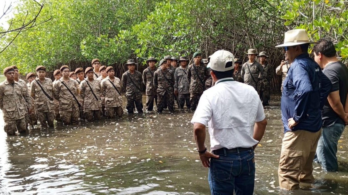 inabguatemala's tweet photo. 🌱🌊🇬🇹
En Mazatenango, Suchitepéquez, INAB realizo una jornada de reforestación con más de 35 mil propágulos de mangle en la aldea Tahuexco. Esto marca el inicio de las actividades en conmemoración del Día de la Defensa del Ecosistema Manglar.
#INAB #RegionIX #MásBosquesMásVida https://t.co/shJRc90ooo