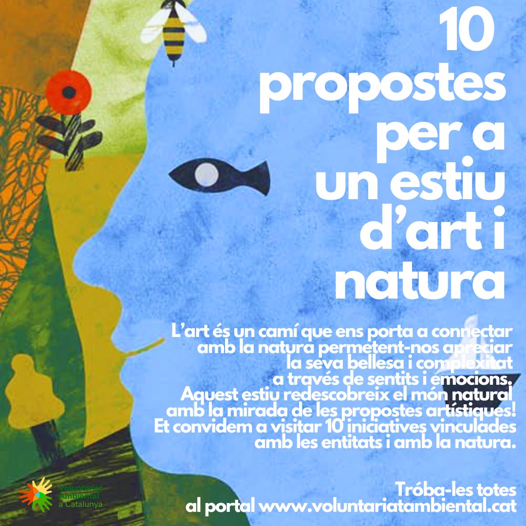 Aquest estiu, redescobreix el món natural amb la mirada de les propostes artístiques! 🌞✨

voluntariatambiental.cat/10-propostes-p…