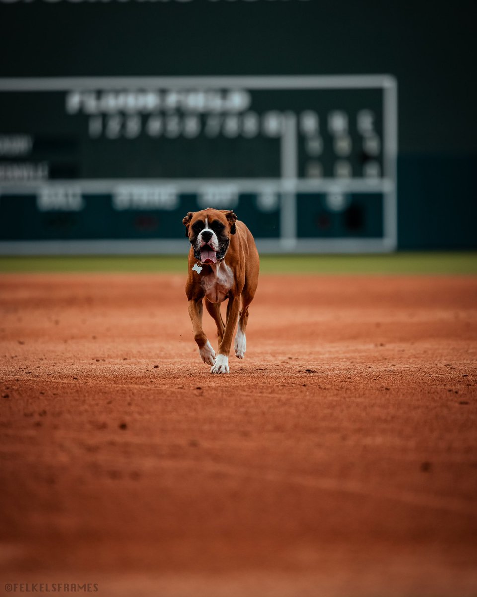 Greenville Drive tweet media