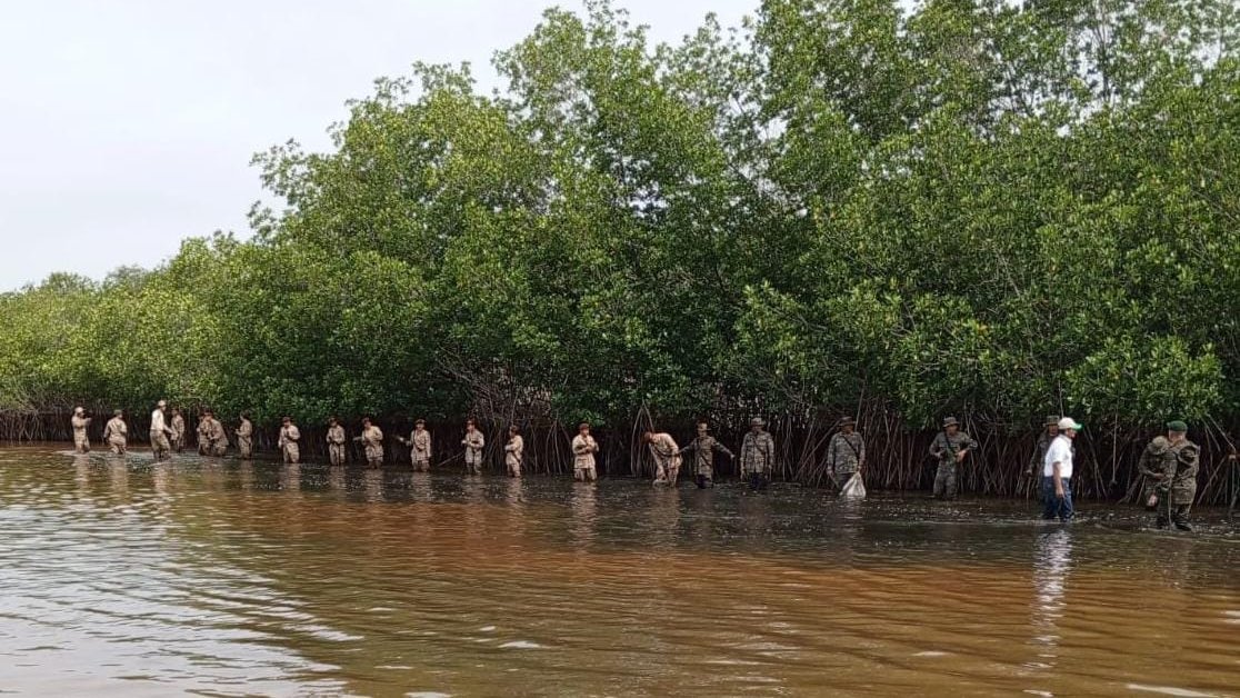 inabguatemala's tweet photo. 🌱🌊🇬🇹
En Mazatenango, Suchitepéquez, INAB realizo una jornada de reforestación con más de 35 mil propágulos de mangle en la aldea Tahuexco. Esto marca el inicio de las actividades en conmemoración del Día de la Defensa del Ecosistema Manglar.
#INAB #RegionIX #MásBosquesMásVida https://t.co/shJRc90ooo