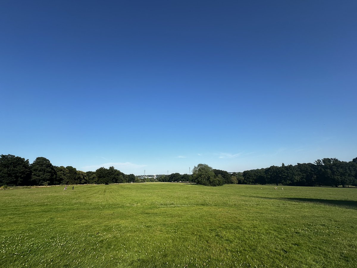 tblacker7's tweet image. Just what the doctor ordered. Has summer finally arrived?